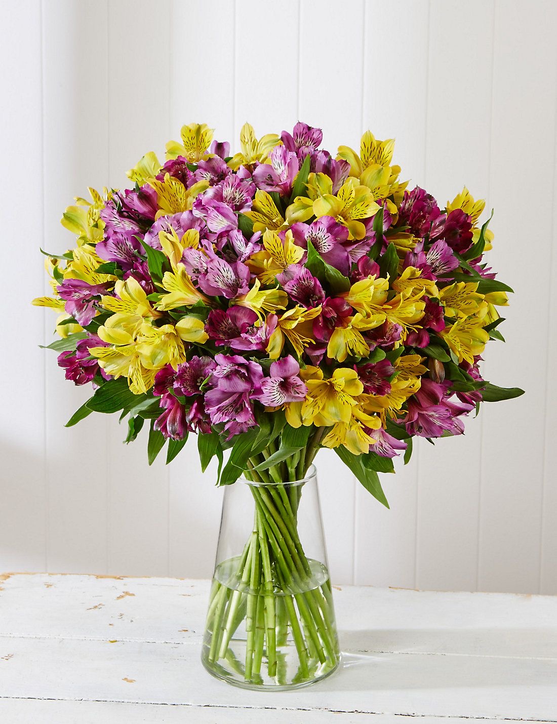 ALSTROEMERIA