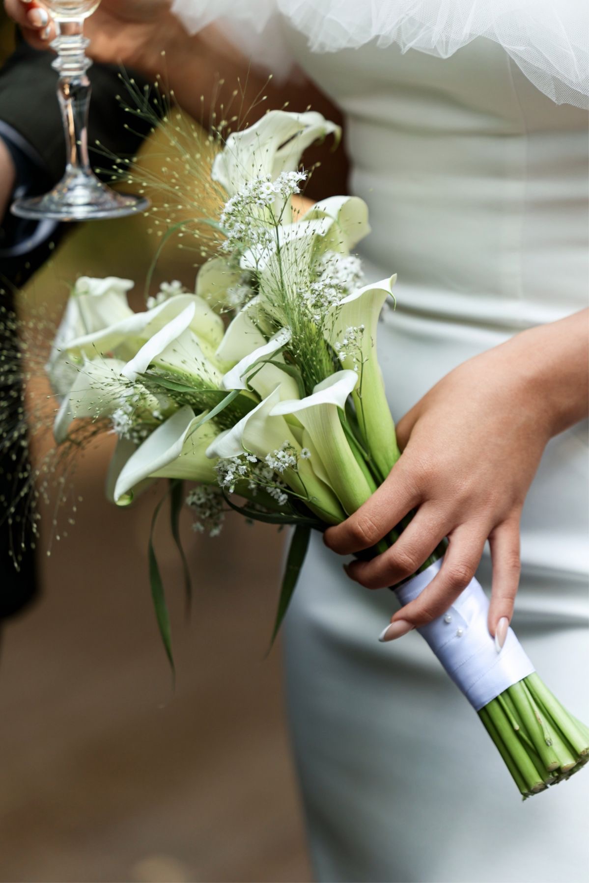 ZANTEDESCHIA (Calla)